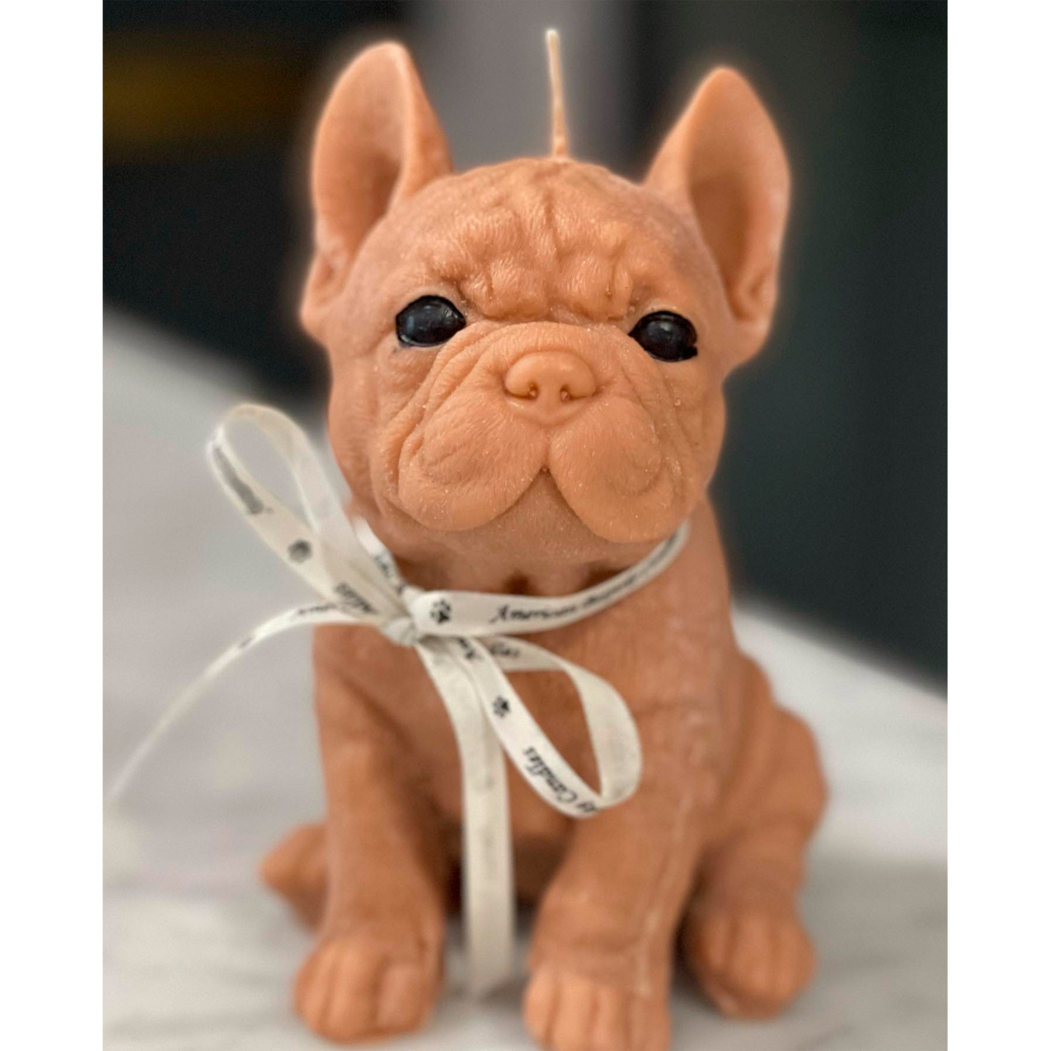 Dog Candles